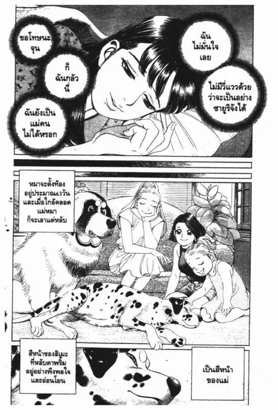 หน้า 7 จาก 14