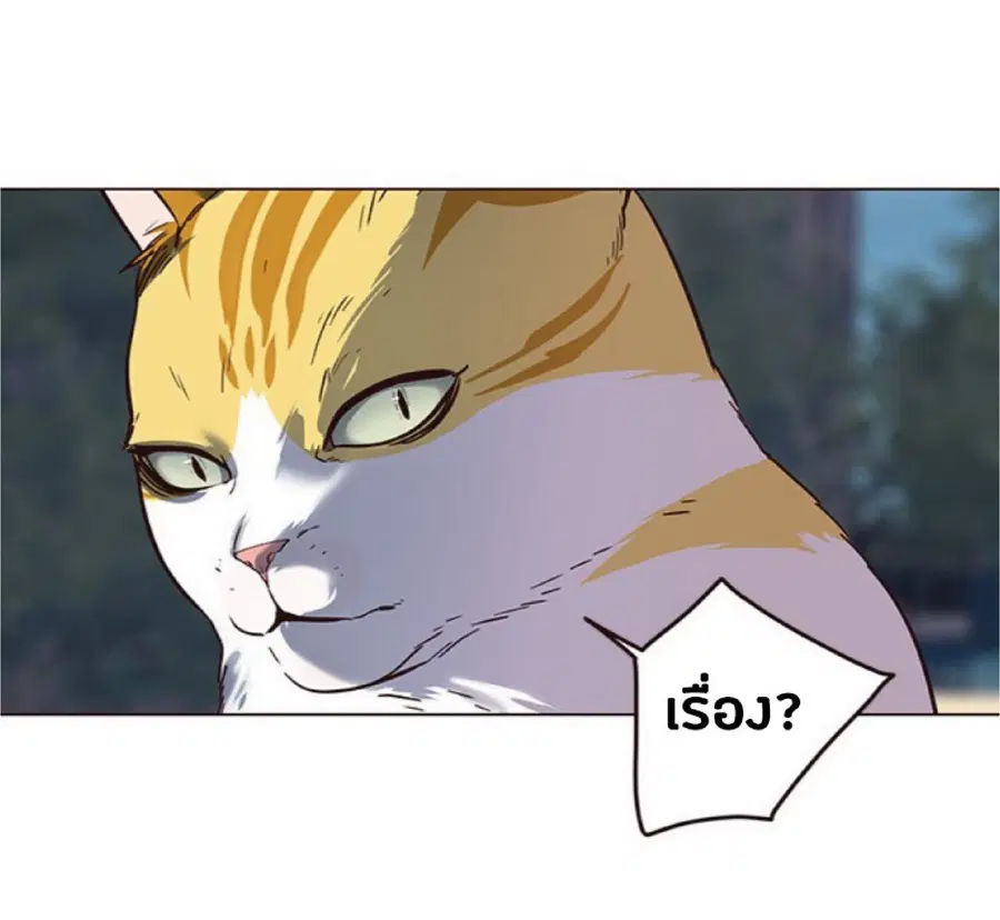 หน้า 77 จาก 86