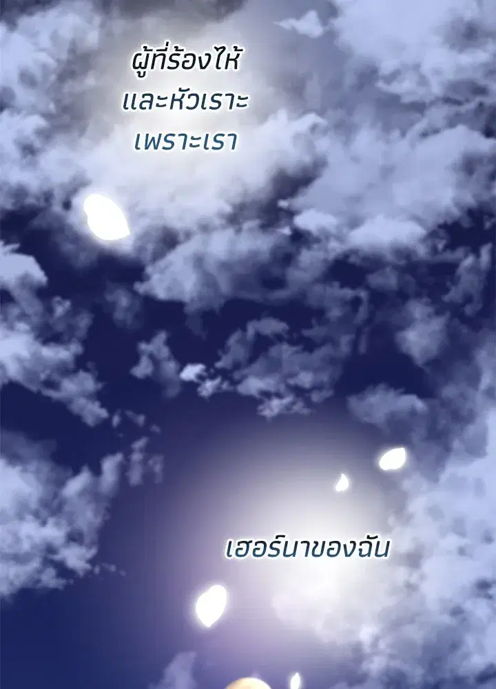 หน้า 146 จาก 170