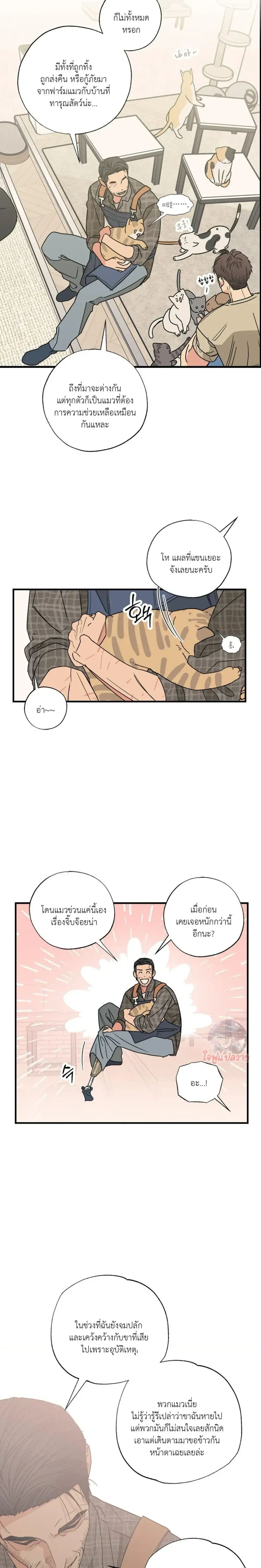 หน้า 9 จาก 19