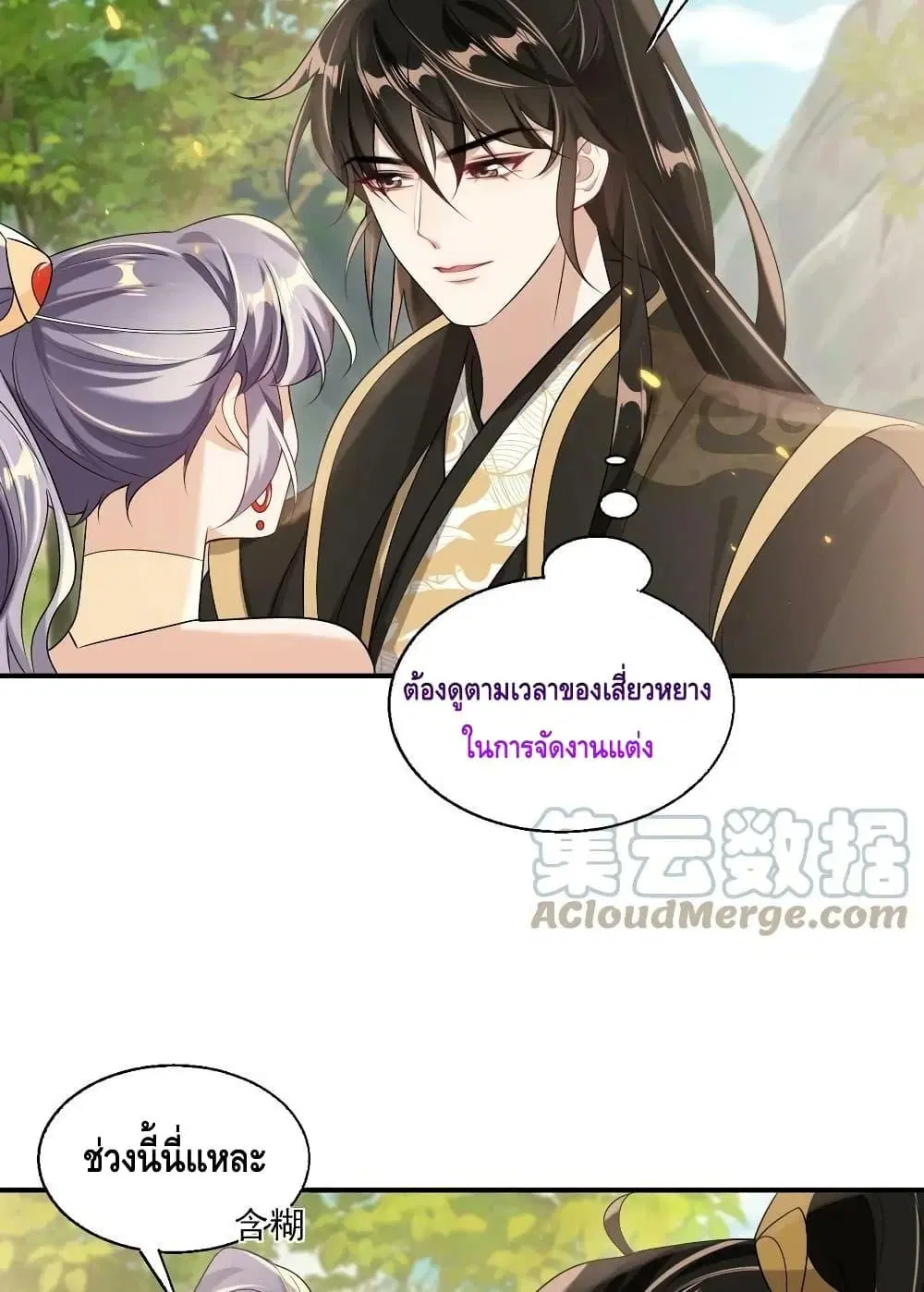 หน้า 28 จาก 42