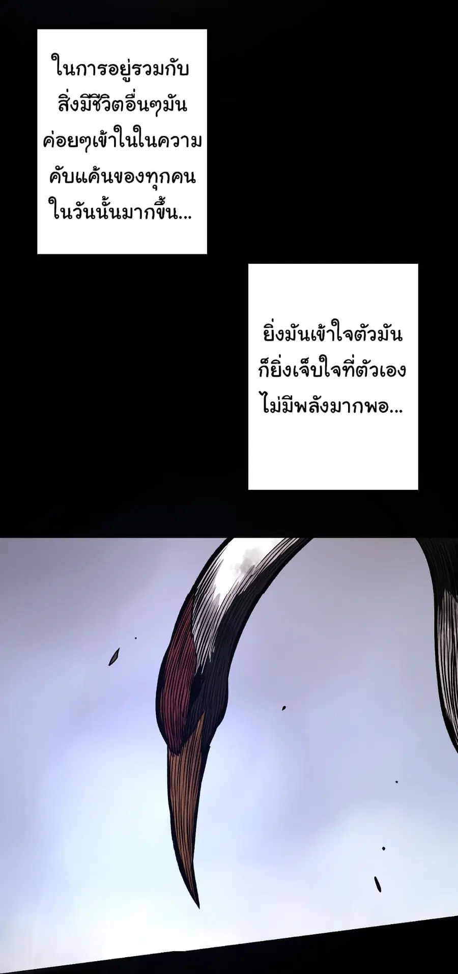 หน้า 36 จาก 49
