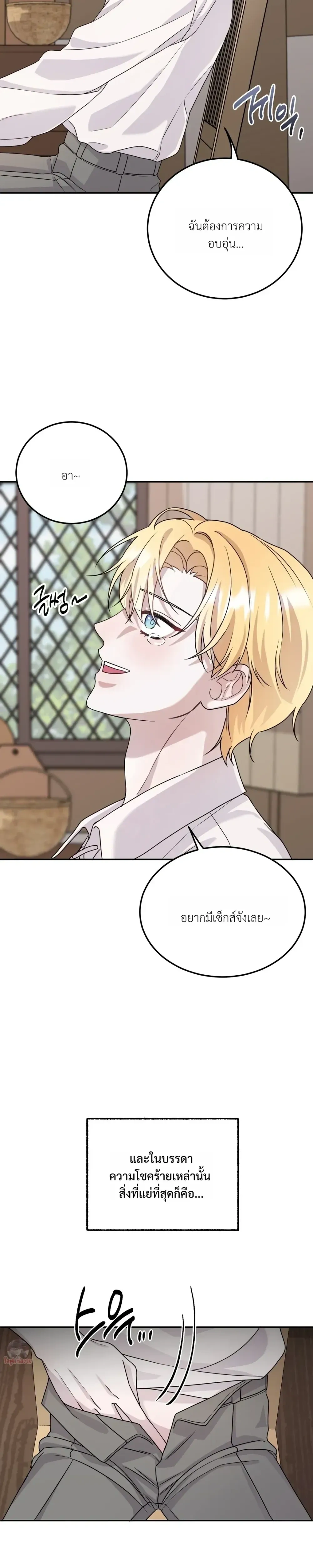 หน้า 11 จาก 37