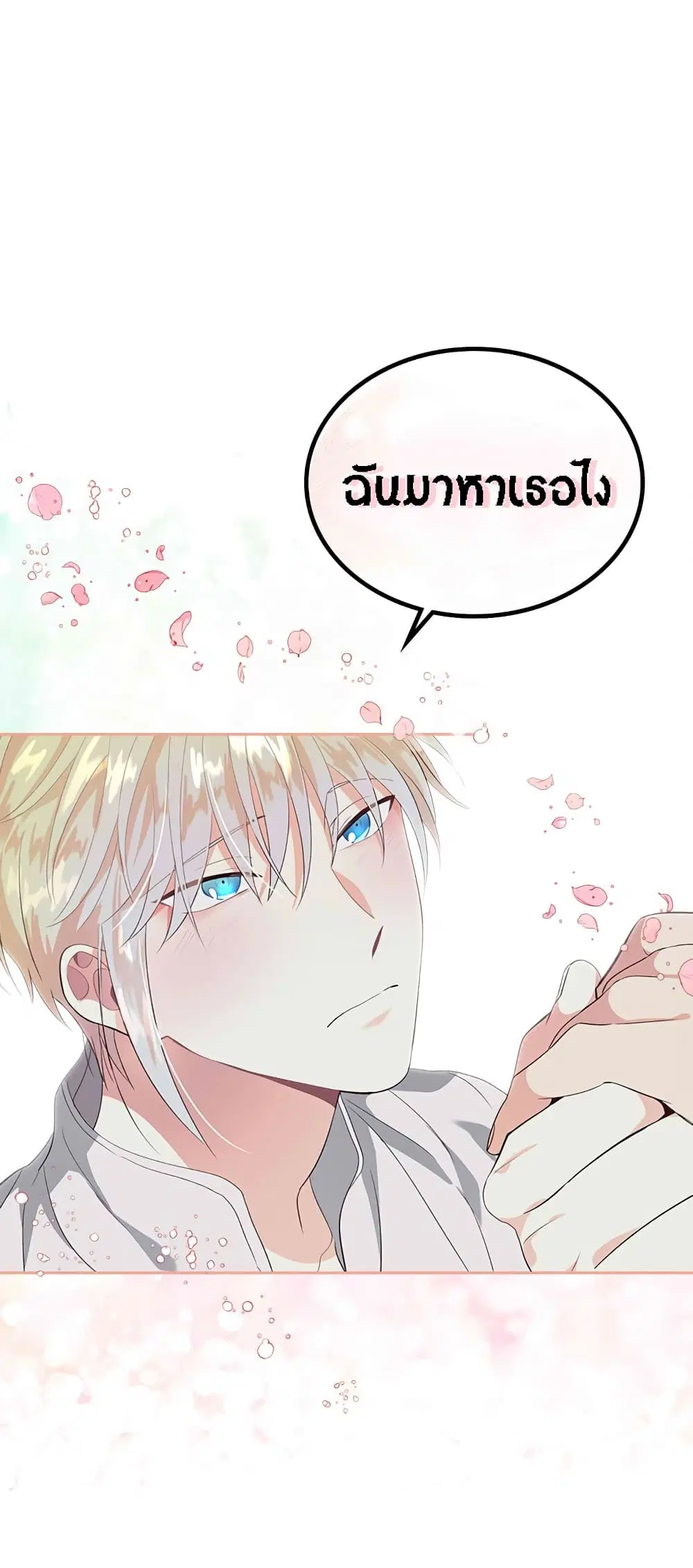 หน้า 31 จาก 33