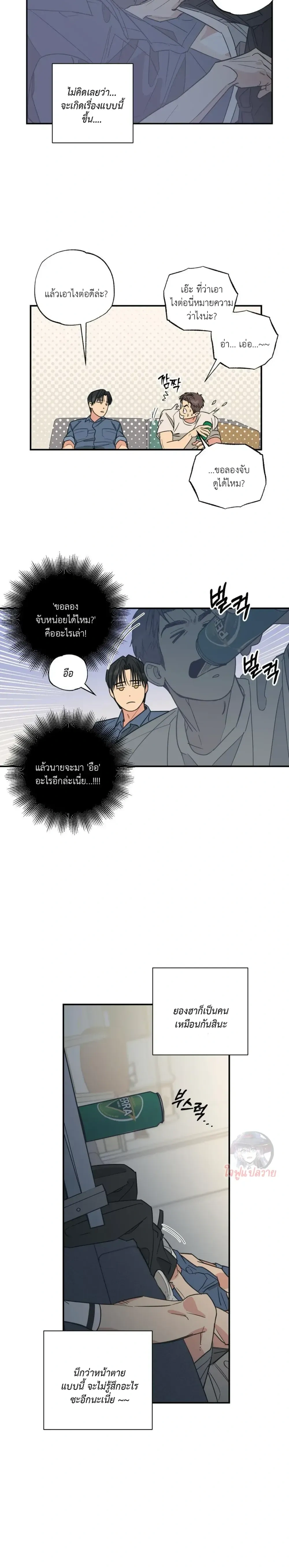 หน้า 12 จาก 19