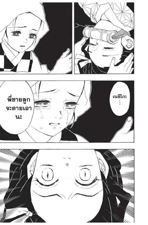 หน้า 115 จาก 185