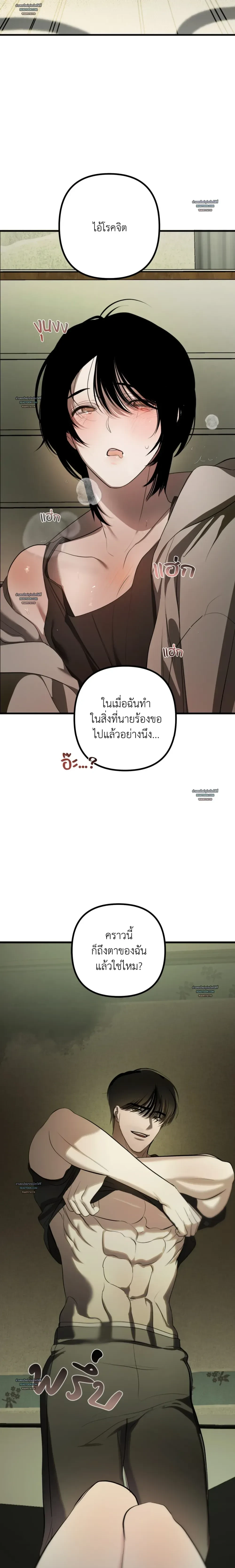 หน้า 40 จาก 41