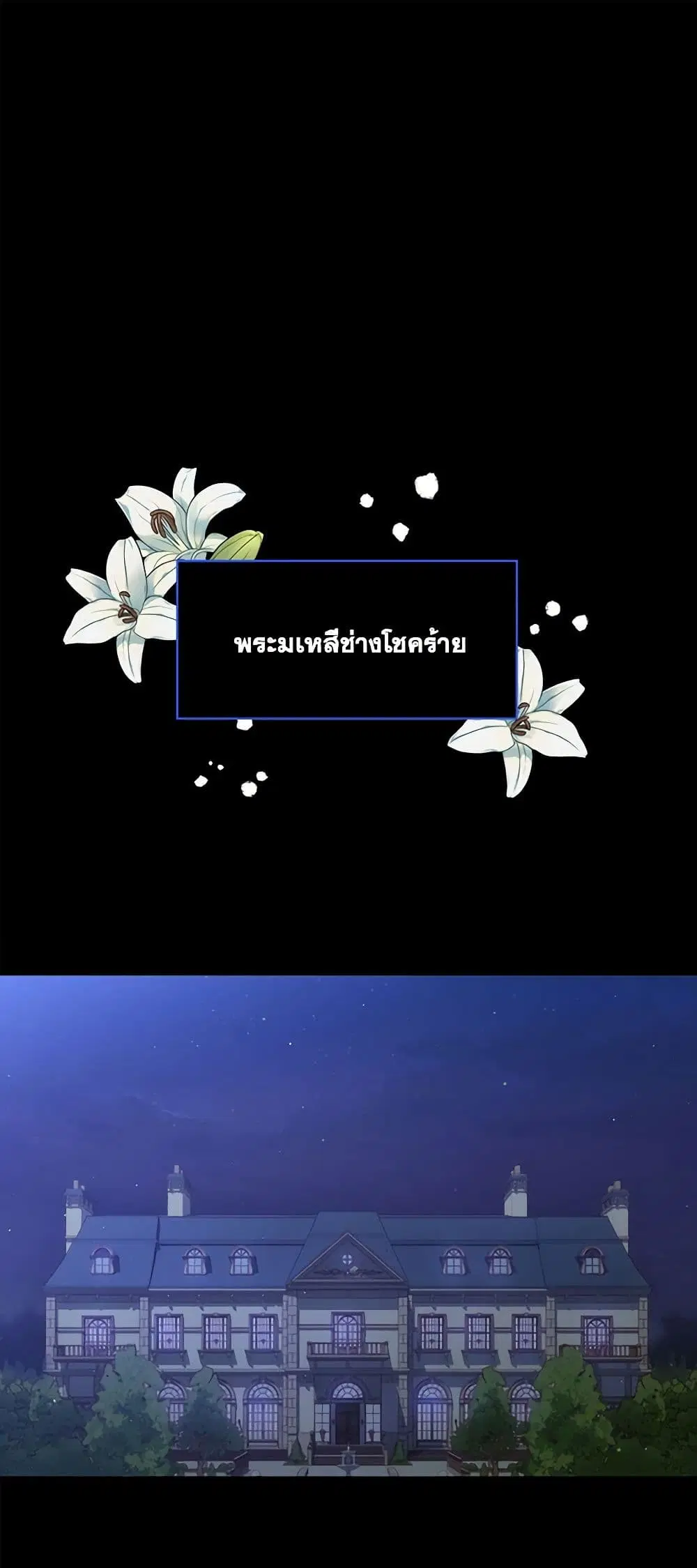 หน้า 2 จาก 41