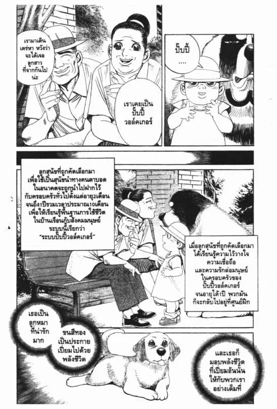 หน้า 9 จาก 20
