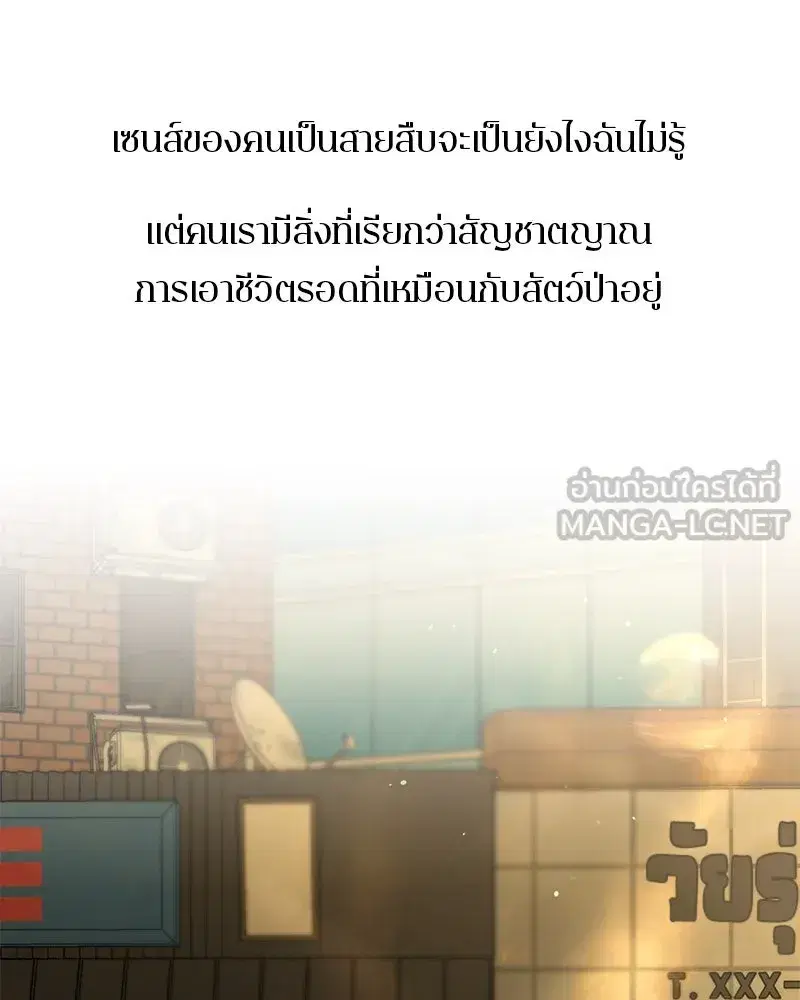 หน้า 15 จาก 126