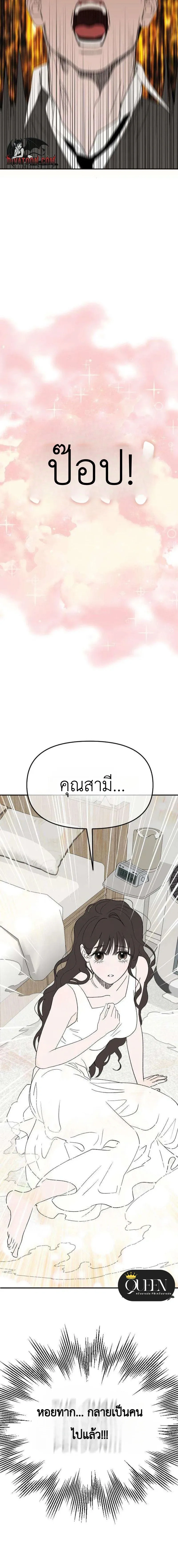 หน้า 30 จาก 30