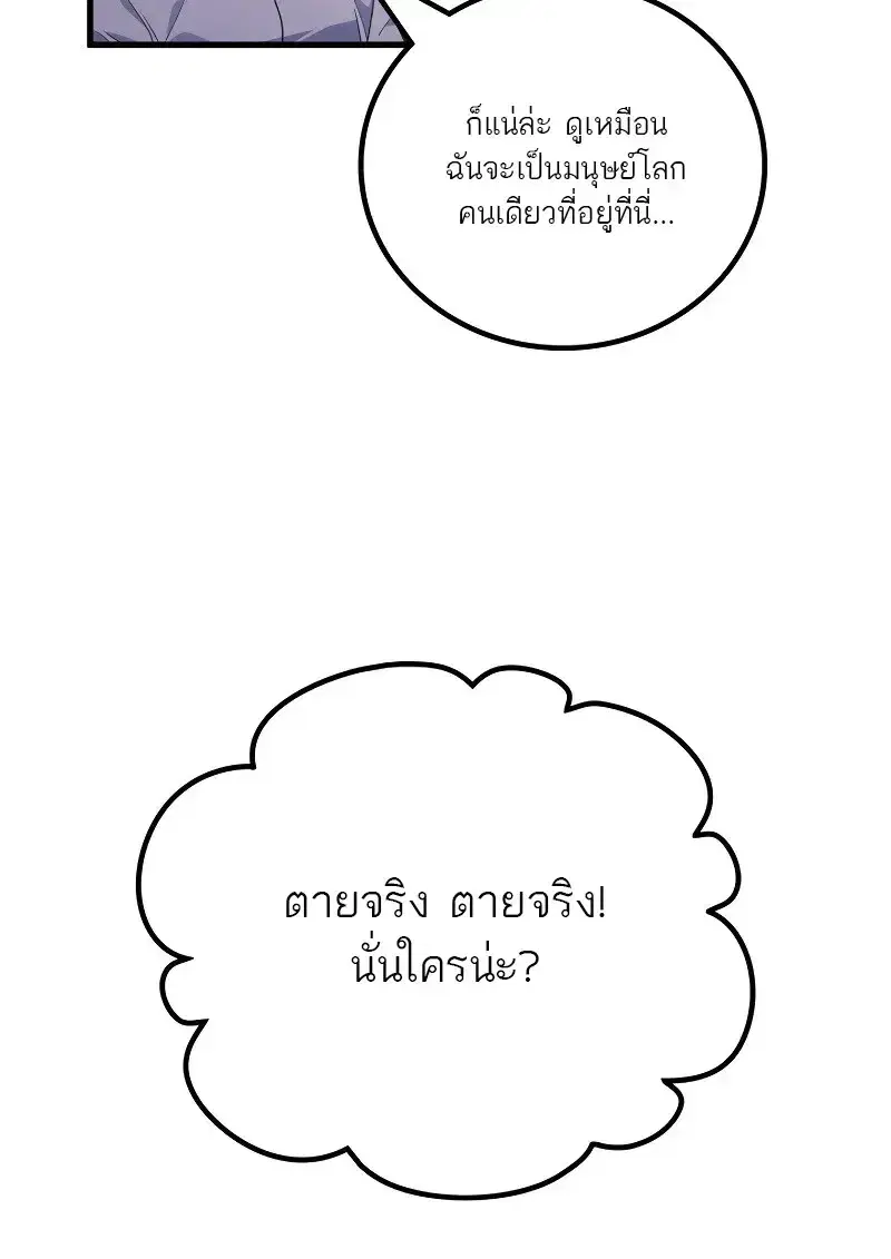 หน้า 41 จาก 147