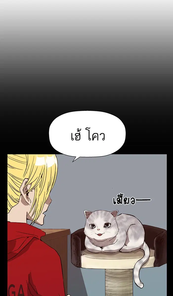 หน้า 67 จาก 98