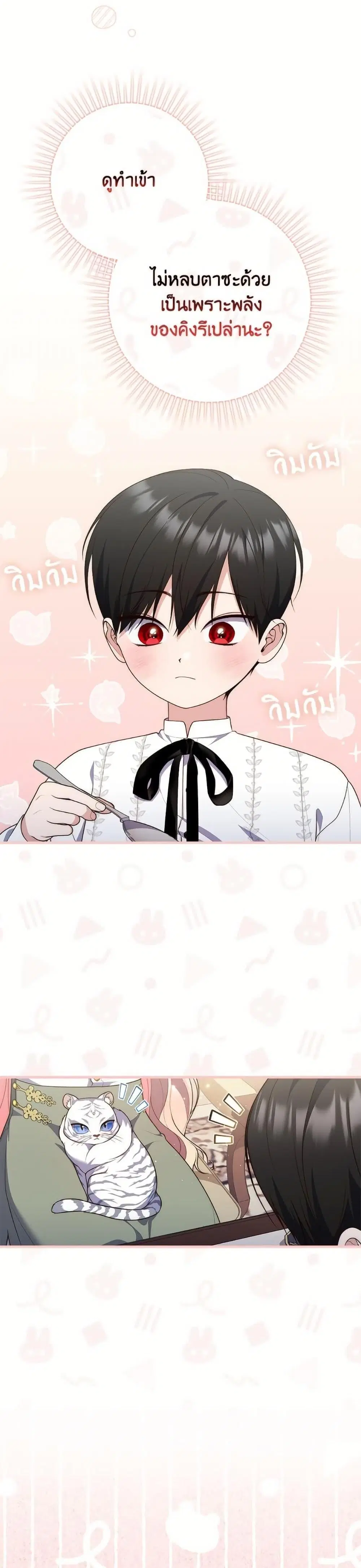 หน้า 17 จาก 41