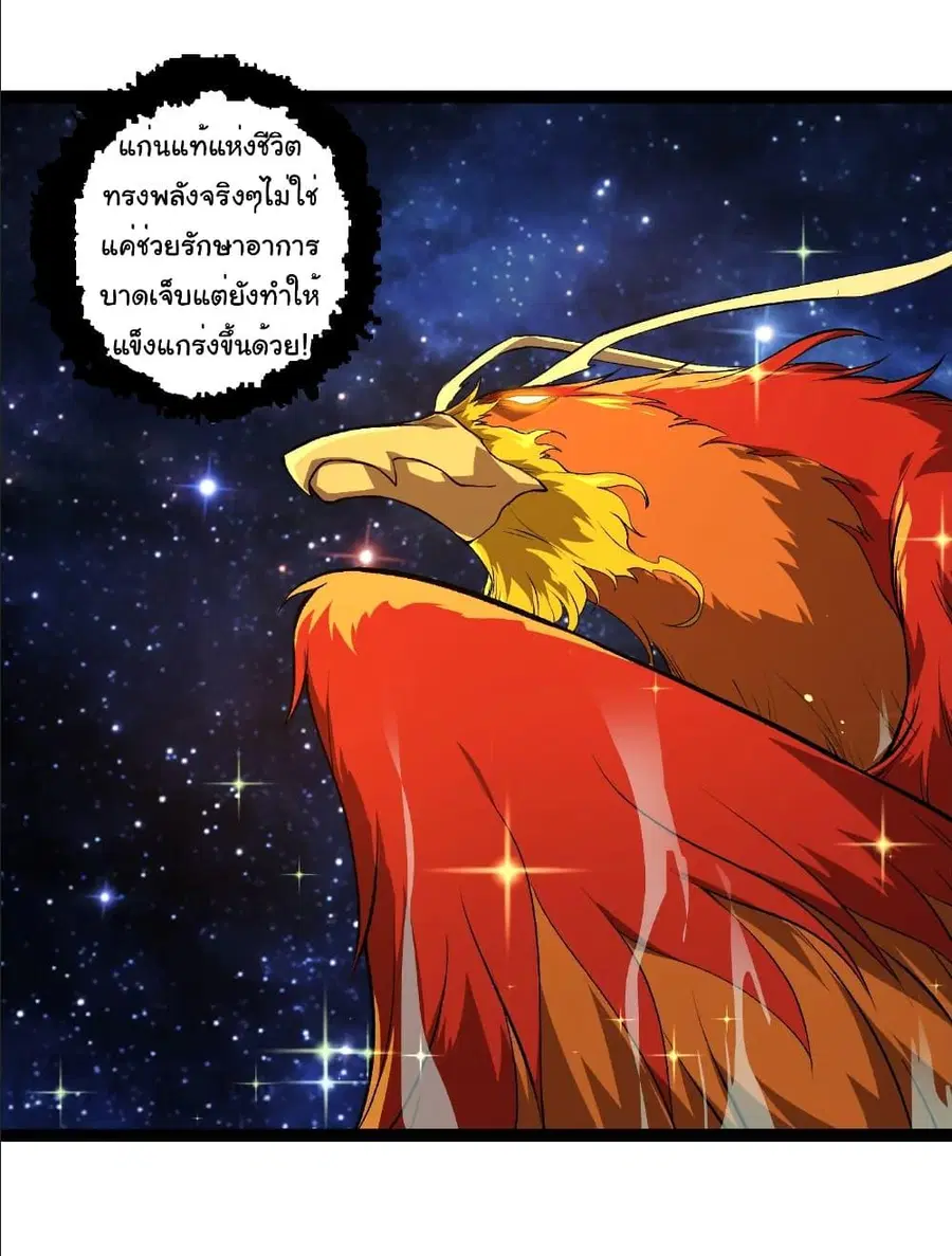 หน้า 29 จาก 37