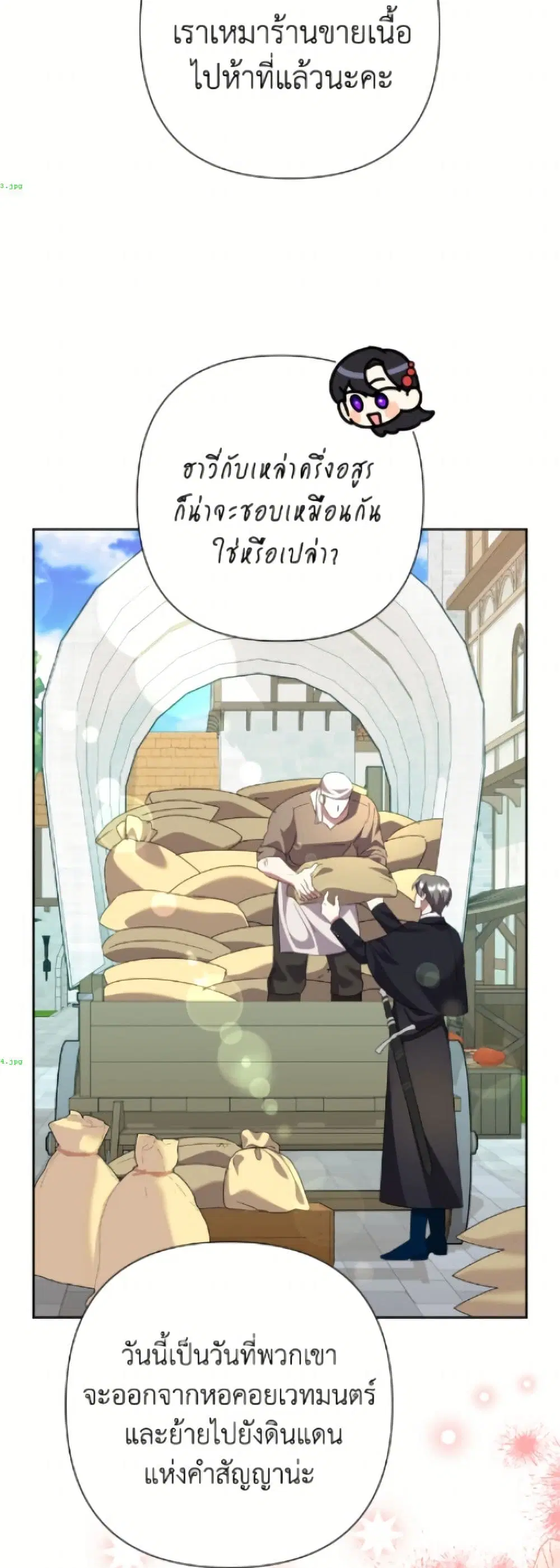 หน้า 3 จาก 52