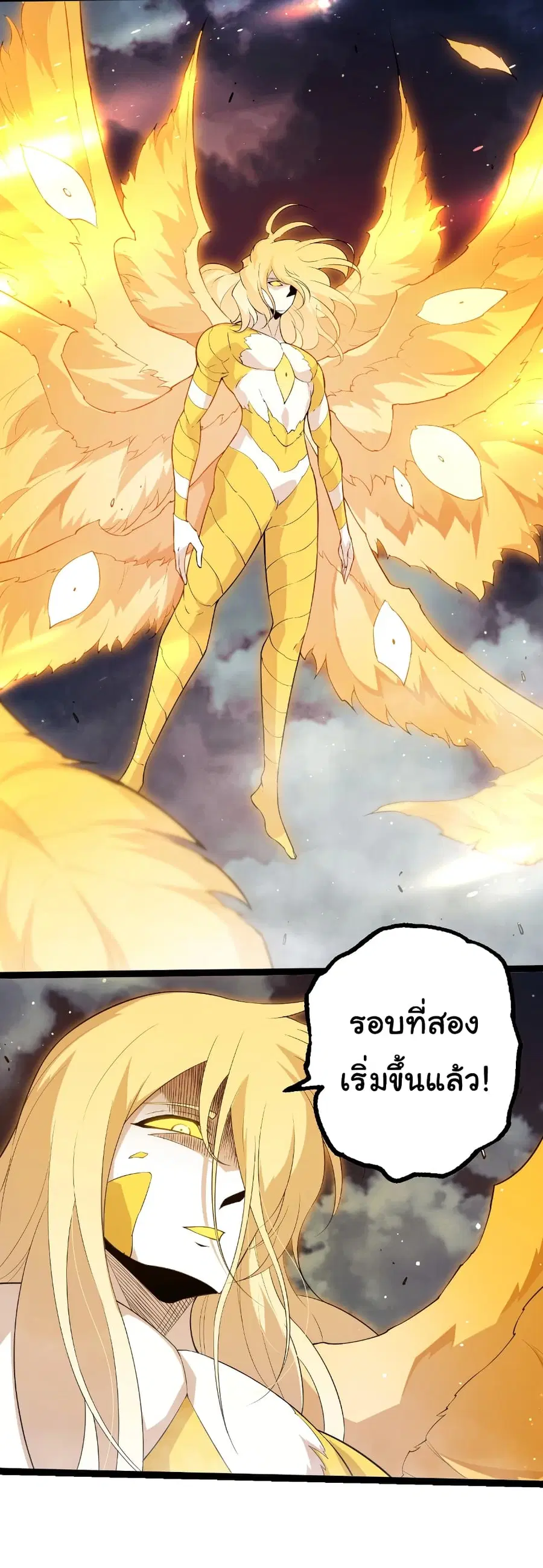 หน้า 20 จาก 29