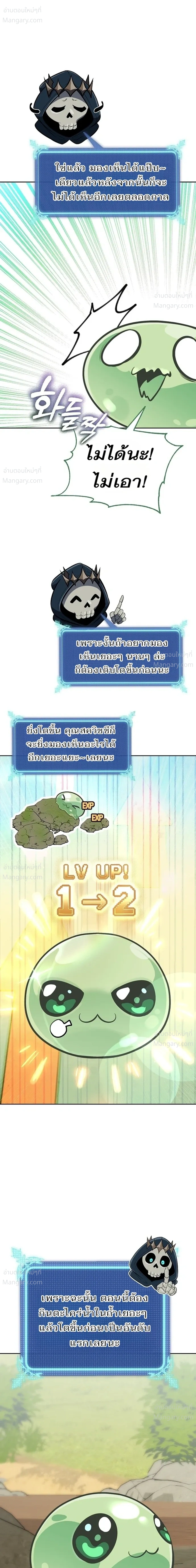 หน้า 3 จาก 56