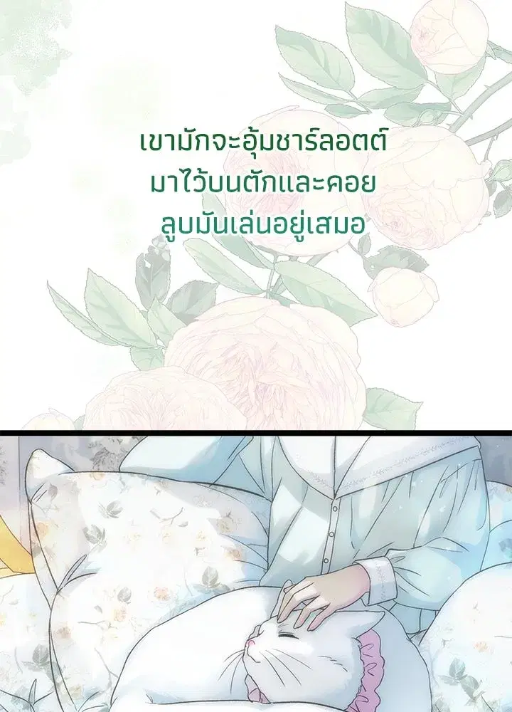 หน้า 164 จาก 196