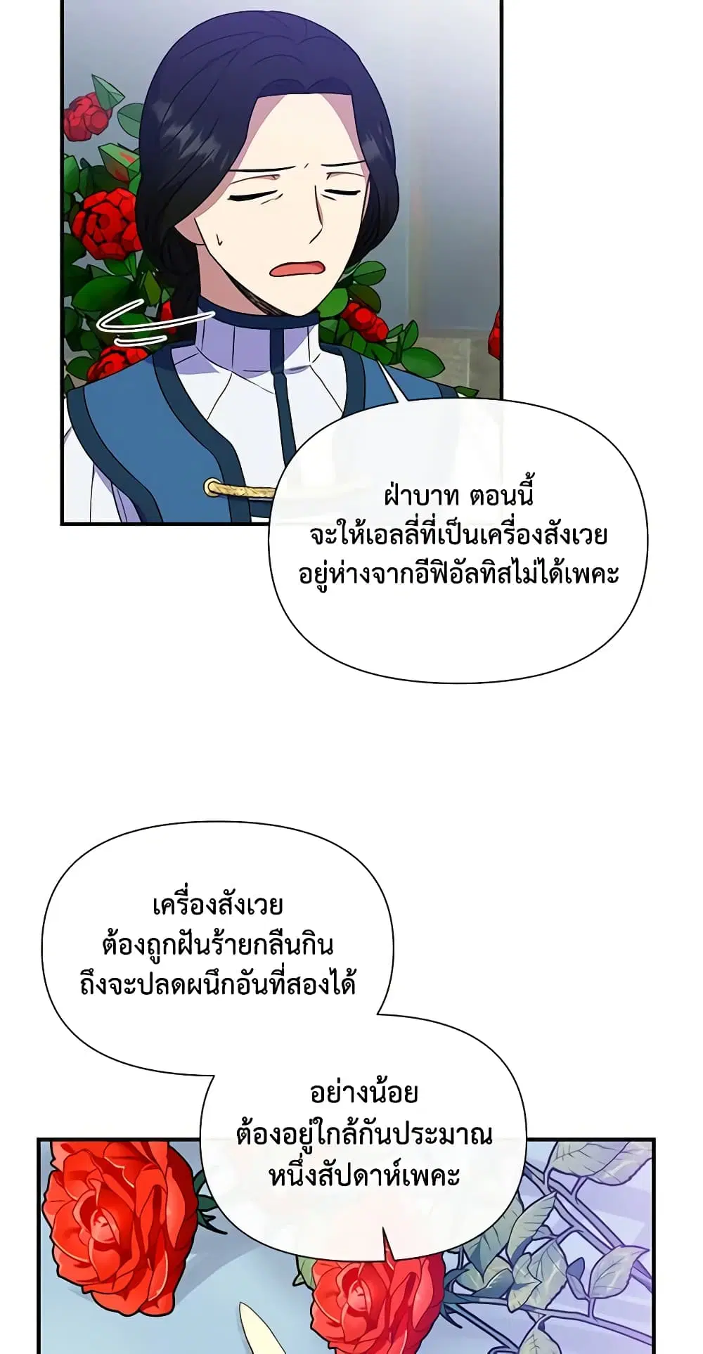 หน้า 15 จาก 50