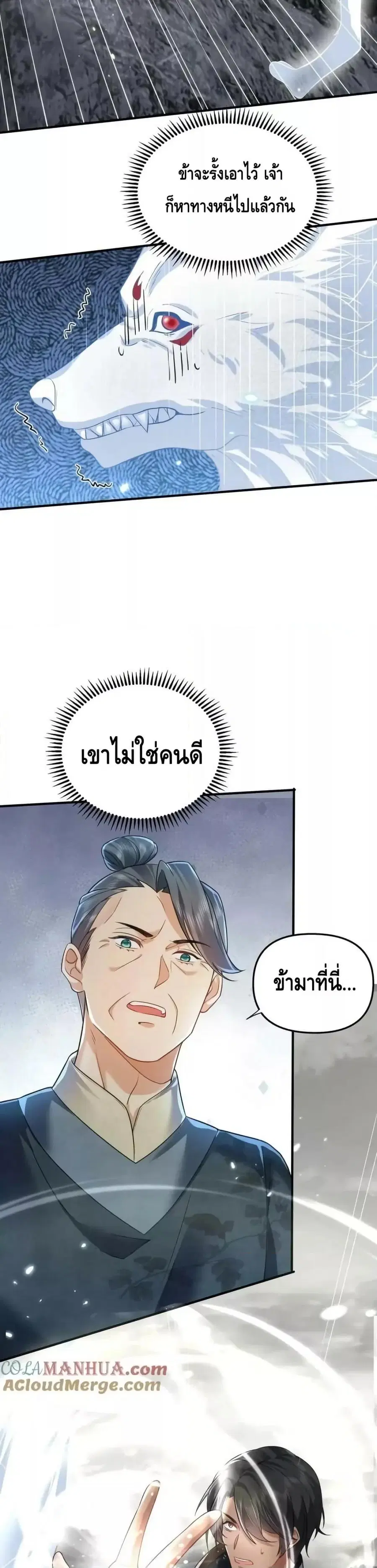 หน้า 8 จาก 22