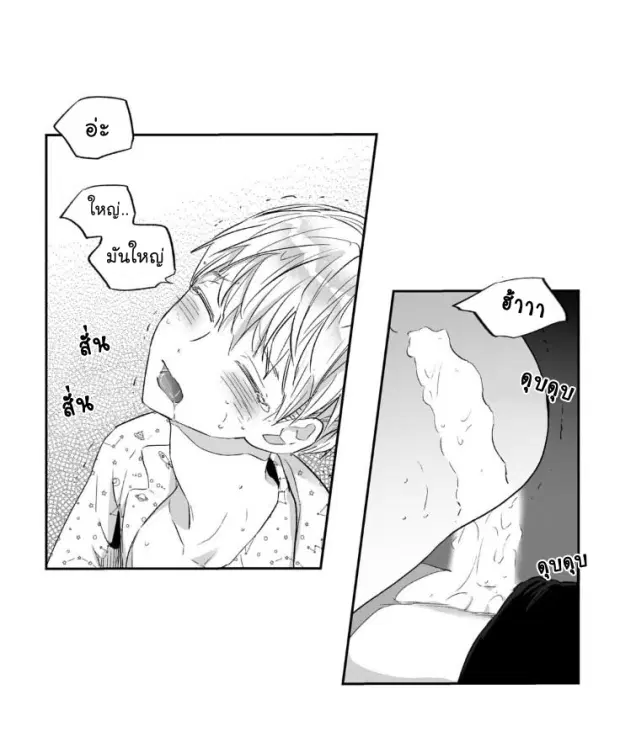 หน้า 17 จาก 41