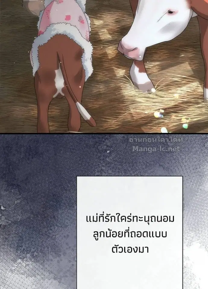 หน้า 30 จาก 126