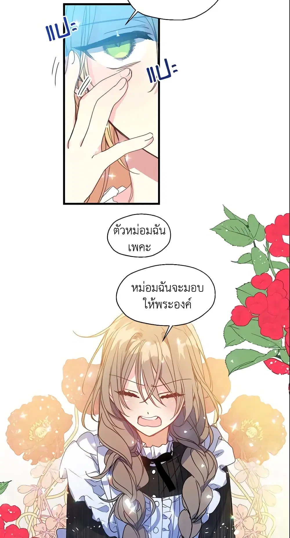 หน้า 8 จาก 34