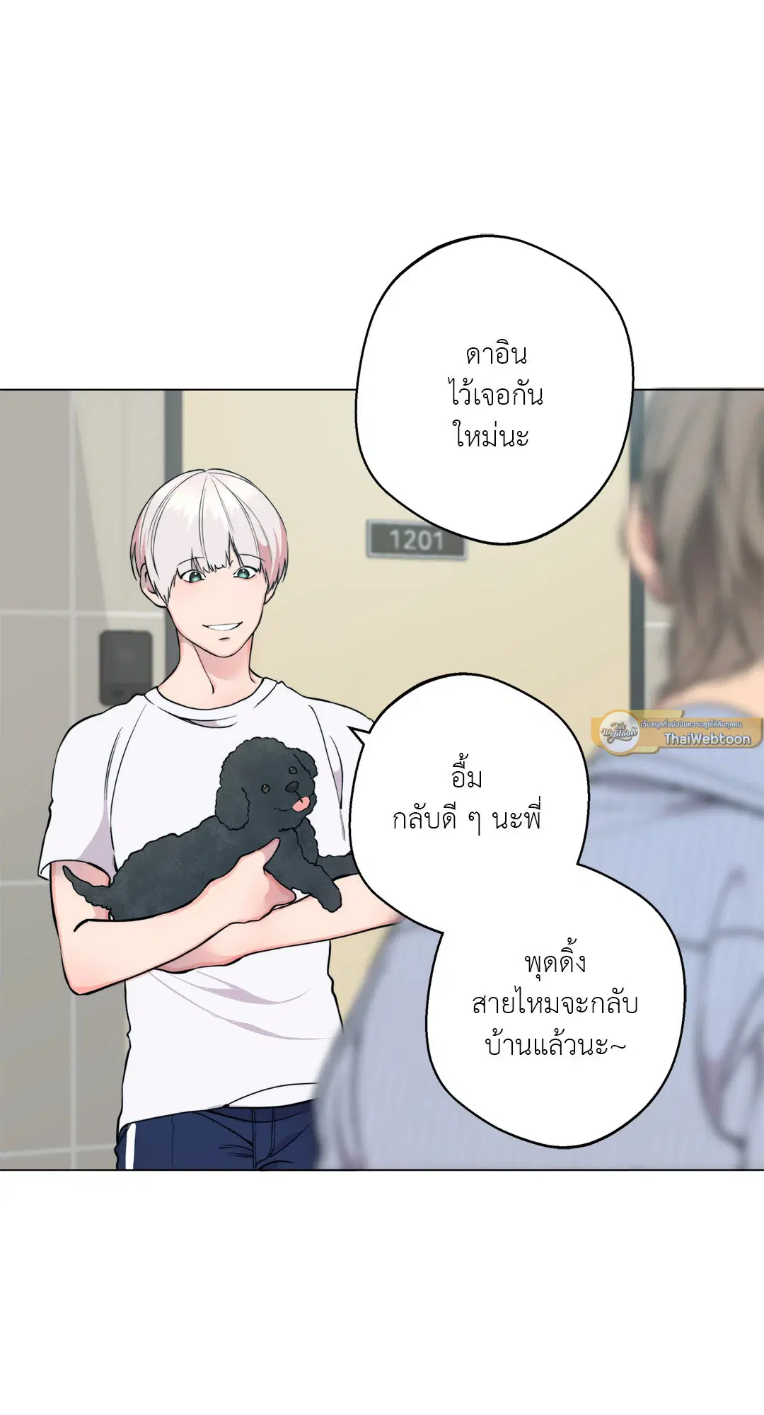 หน้า 37 จาก 80