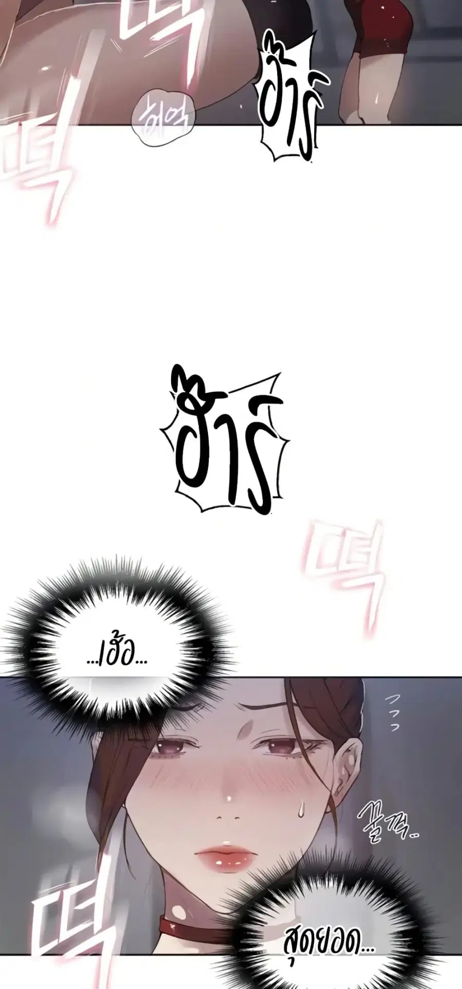 หน้า 6 จาก 50