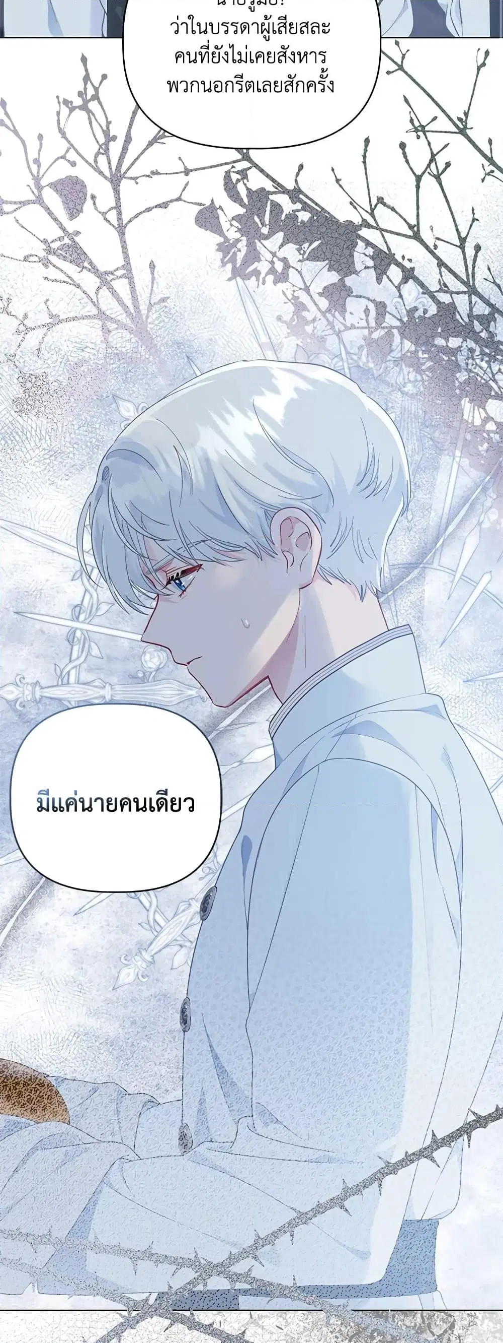 หน้า 13 จาก 52