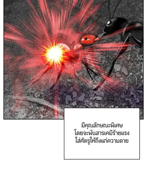 หน้า 31 จาก 143