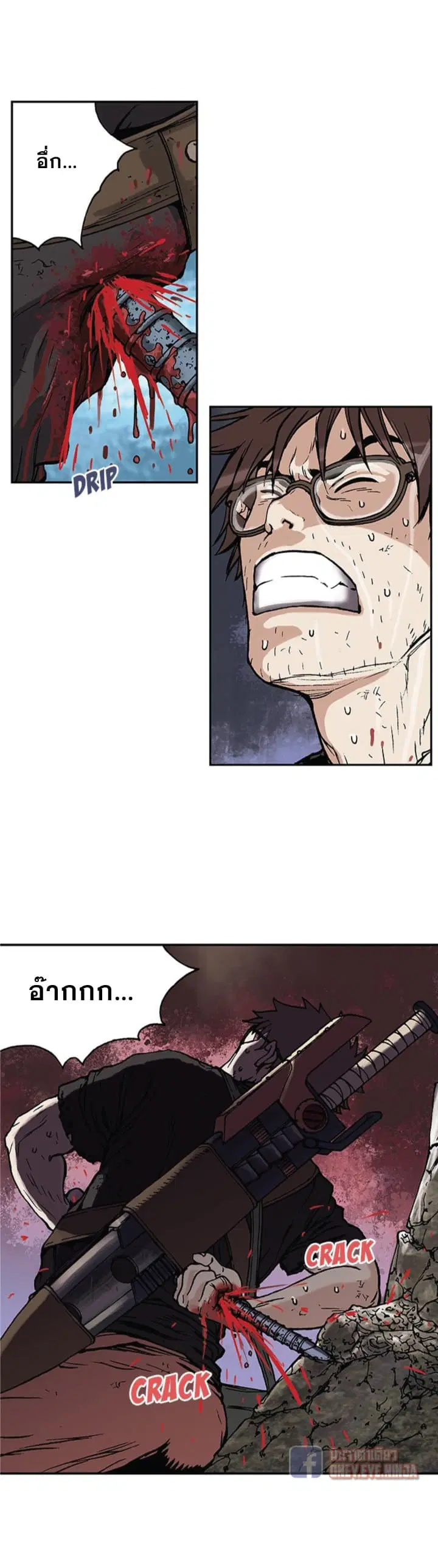 หน้า 13 จาก 19