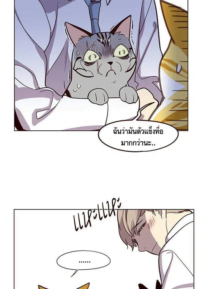 หน้า 33 จาก 81
