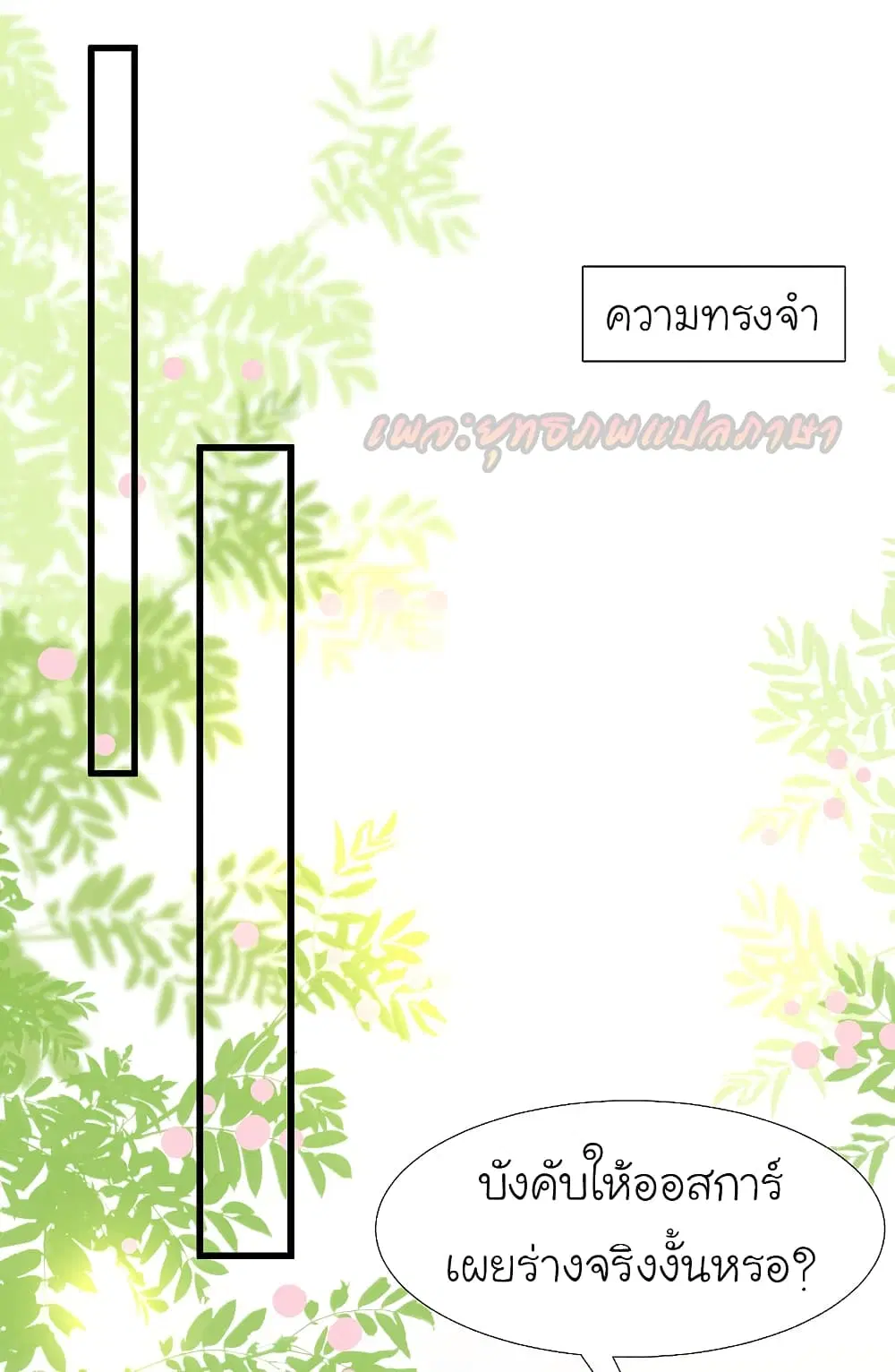 หน้า 17 จาก 37