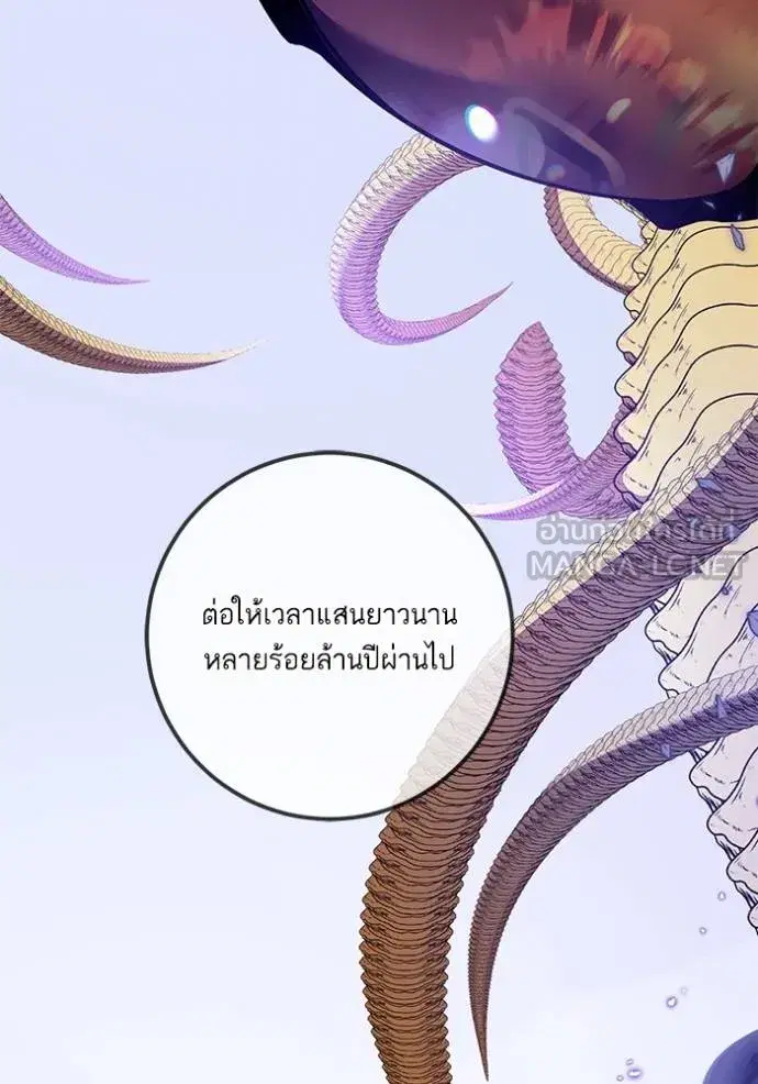 หน้า 75 จาก 88