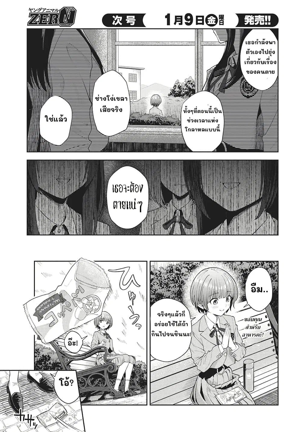 หน้า 13 จาก 42