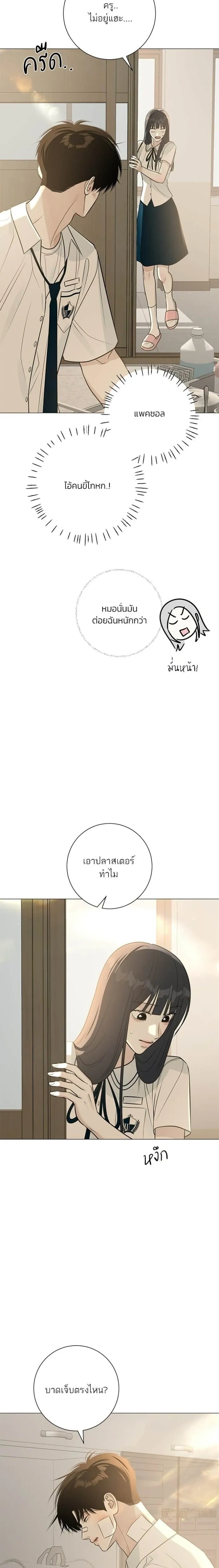 หน้า 6 จาก 29