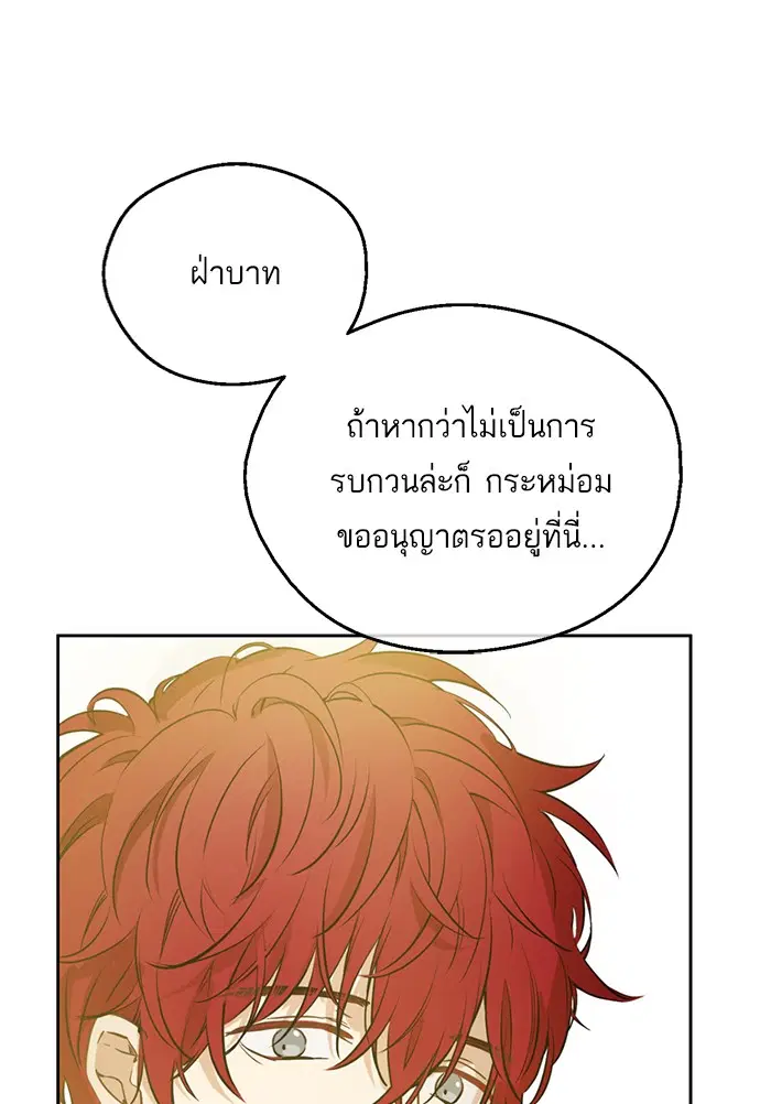 หน้า 50 จาก 88