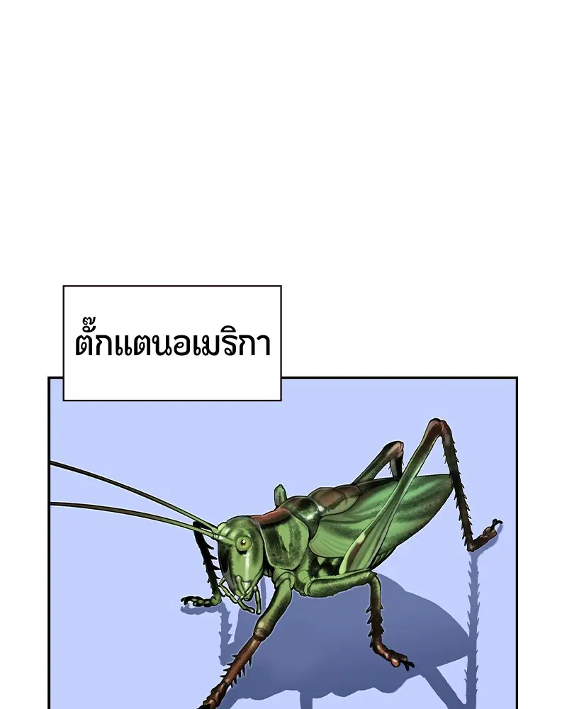 หน้า 34 จาก 158