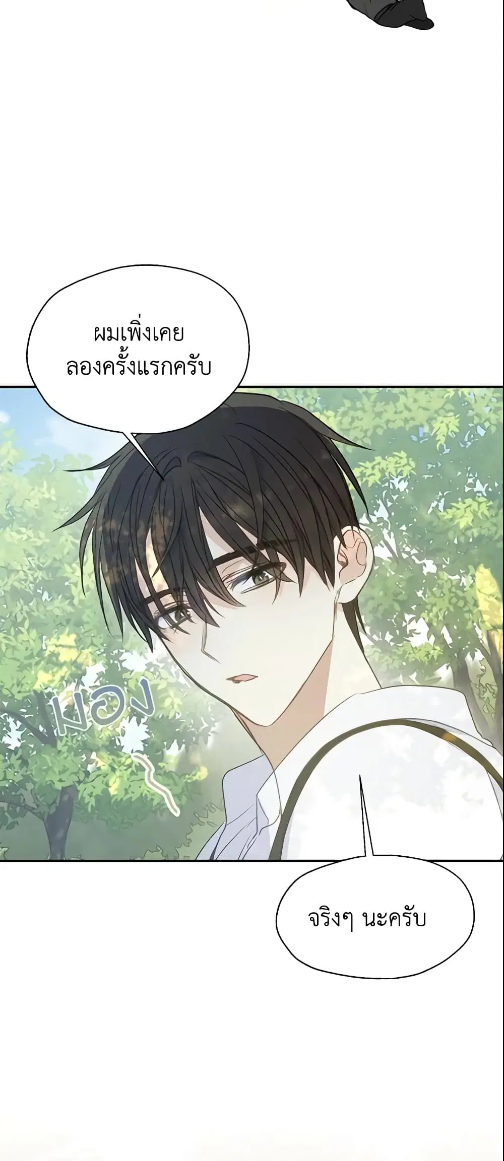 หน้า 6 จาก 42
