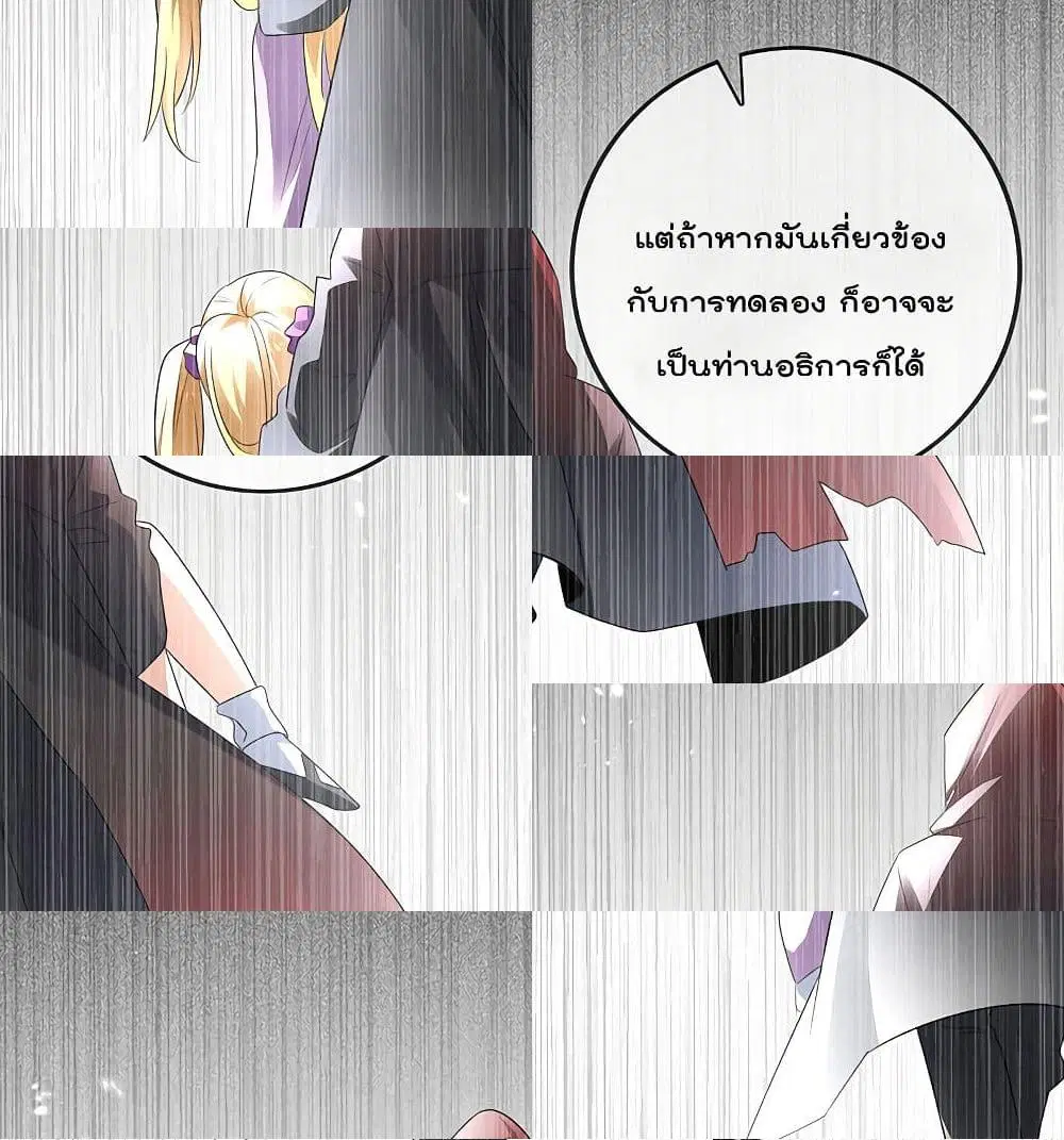 หน้า 5 จาก 13