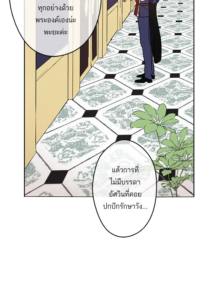 หน้า 41 จาก 82