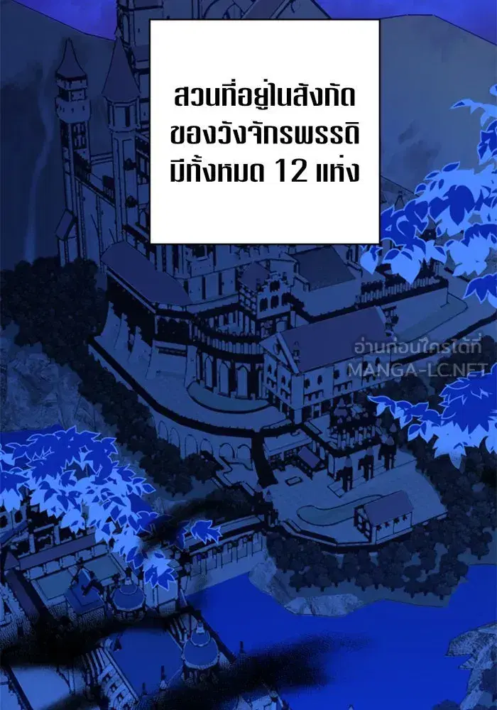หน้า 24 จาก 142